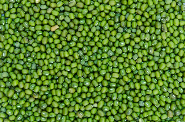 Groene bonen zaad achtergrond — Stockfoto