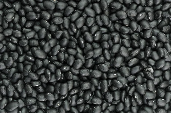 검은 콩 배경 — 스톡 사진