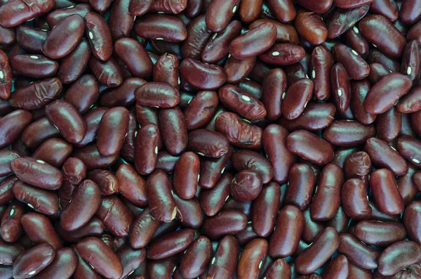 붉은 콩 배경 — 스톡 사진