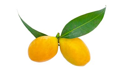 Marian Erik veya Maprang meyve izole Tayland