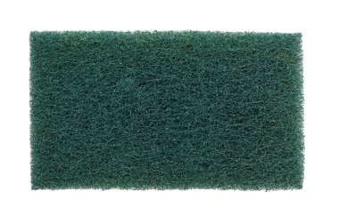 sünger beyazda izole edildi