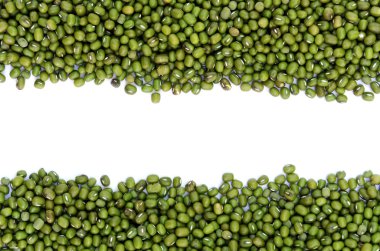 beyaz izole taze fasulye