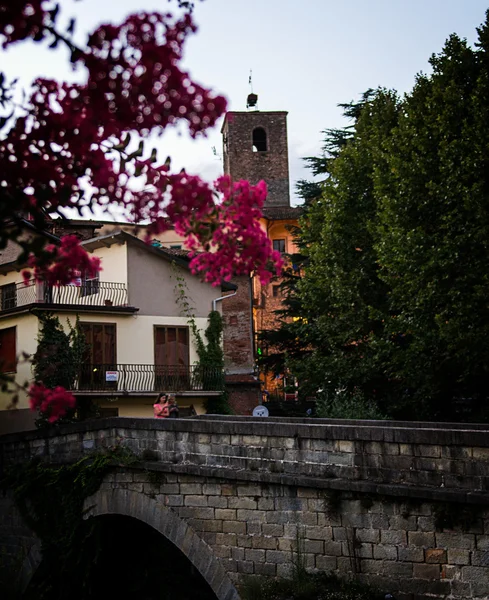 Çiçek, köprü, çan kulesi — Stok fotoğraf