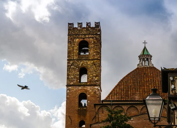 Bell tower and bird — Stock Photo, Image