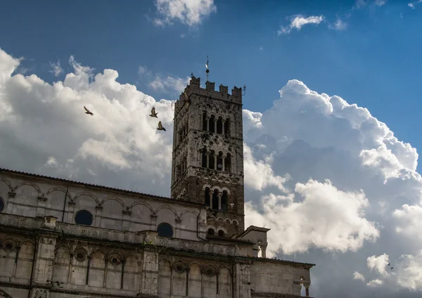 Lateral view of Lucca cathedral — Stock Photo, Image