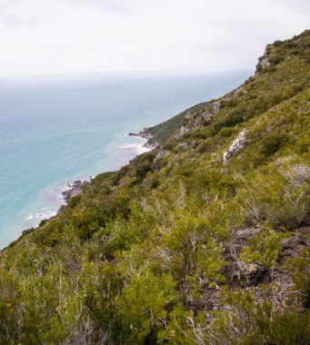 Tuscany sahil peyzaj