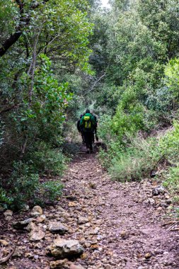 Vahşi içine yürüyüş