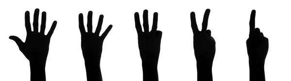 Zählen der Hände von eins bis fünf — Stockfoto