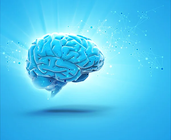 Beynin insan vücudu