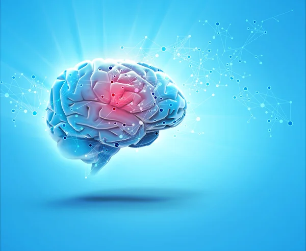 Human body of brain — Stock Photo, Image