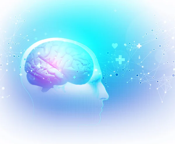 Der menschliche Körper - Gehirn — Stockfoto