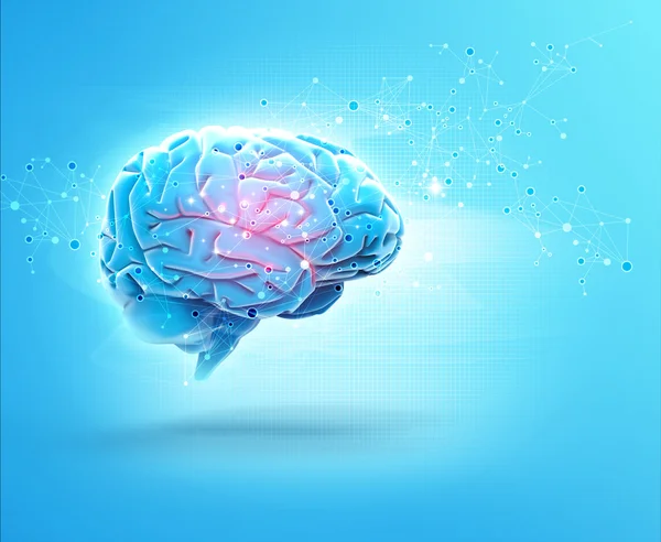 脳の人体 ロイヤリティフリーのストック写真