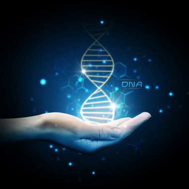 DNA sarmalının elde