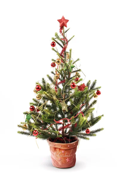 Albero di Natale — Foto Stock