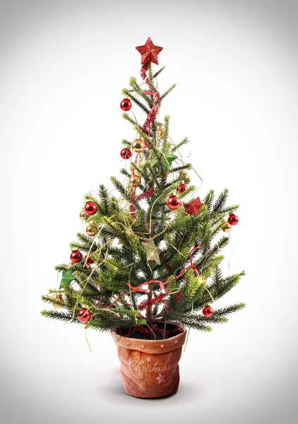 Árbol de Navidad — Foto de Stock