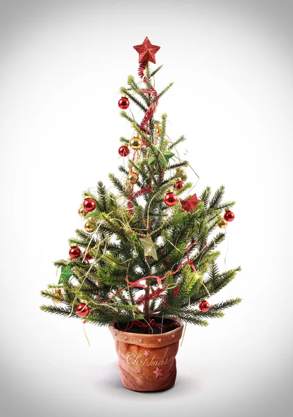 Weihnachtsbaum lizenzfreie Stockfotos