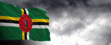 Kara bulutlu Dominika bayrağı, 3D görüntüleme