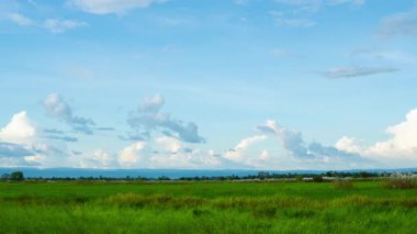 Zaman ayarlı video. Akşam gökyüzünde bulutlu yeşil pirinç tarlaları.