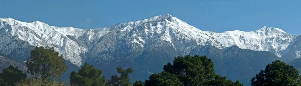 Panorama Montaña Nieve Con Árbol Alpino Cachemira India —  Fotos de Stock
