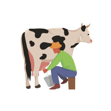  Çiftçi inek sağıyor. İnek sağmak. İnekler yetiştiriyor. Çiftlik ya da çiftlik. Sığırlar. Süt ürünleri üretimi. Vektör düzlüğü izole.