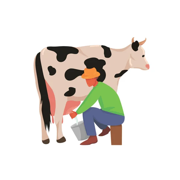  Çiftçi inek sağıyor. İnek sağmak. İnekler yetiştiriyor. Çiftlik ya da çiftlik. Sığırlar. Süt ürünleri üretimi. Vektör düzlüğü izole.