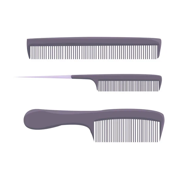 Ensemble Peignes Outils Coiffeur Salon Coiffure Accessoires Pour Beauté Salon — Image vectorielle