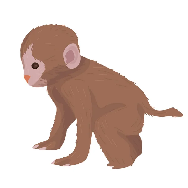 Ilustración Pequeño Mono Aislado Sobre Fondo Blanco Chimpancé Toque Vida — Vector de stock