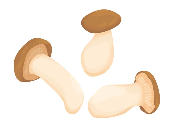 Beyaz arka planda izole edilmiş Kral istiridye mantarları. Yenilebilir mantarlar. Mantar mevsimi. Sonbahar hasadı. vektör düzlüğü.