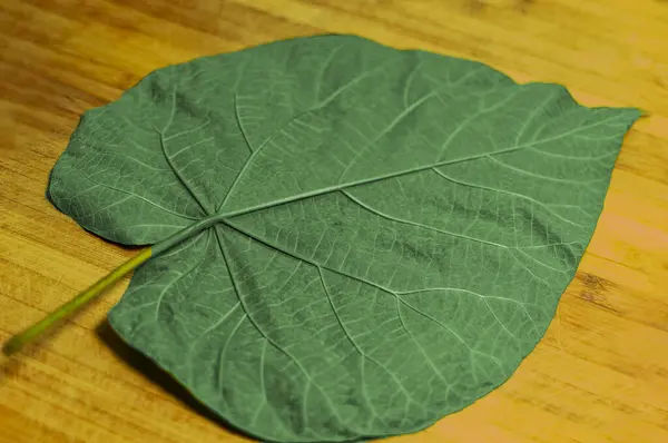 木板面に強い緑の立ち並ぶ大きな葉 — ストック写真