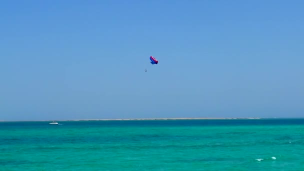 View Paragliders Session Red Sea Hurghada Egypt — 图库视频影像