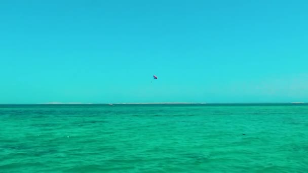エジプトのフルガダで紅海を巡るセッション中のパラグライダーへの眺め — ストック動画