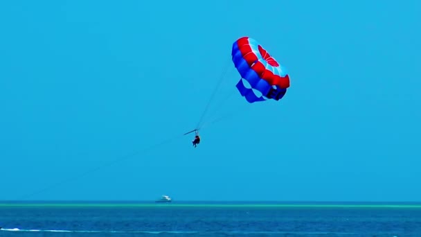 View Paragliders Session Red Sea Hurghada Egypt — Stock Video