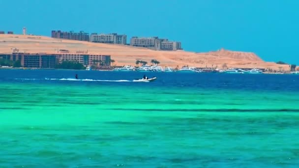 이집트 의물에서 스키를 — 비디오