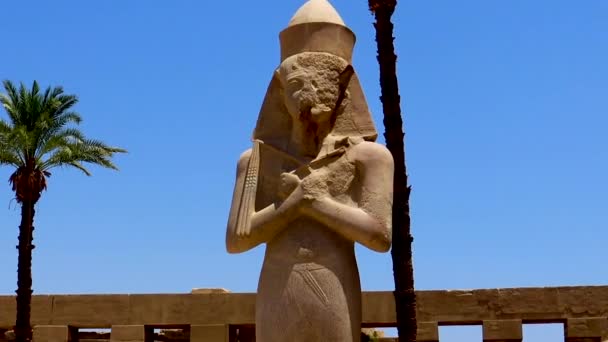 Grande Statue Pharaon Avec Petite Statue Femme Dans Temple Karnak — Video