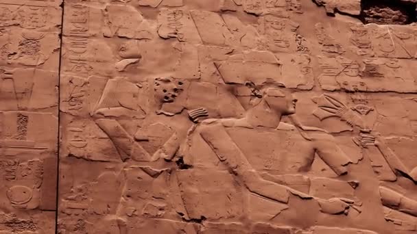 Various Hieroglyphs Signs Symbols Depicted Karnak Temple Luxor Egypt — Vídeo de stock