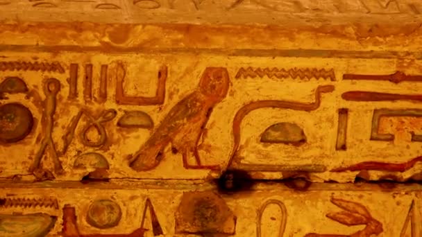 Various Hieroglyphs Signs Symbols Depicted Karnak Temple Luxor Egypt — Vídeo de Stock