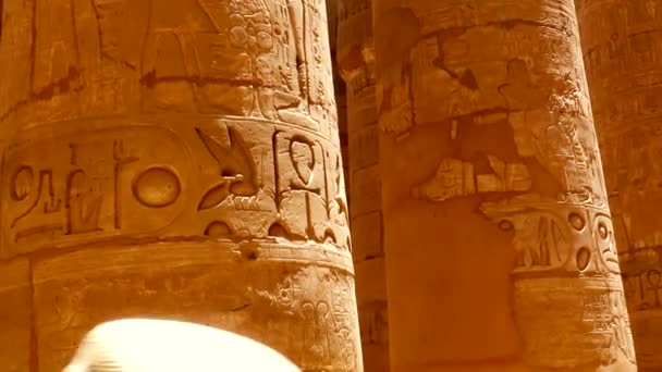 Різні Ієрогліфи Знаки Символи Зображені Всередині Храму Карнаків Розкішному Егіпті — стокове відео