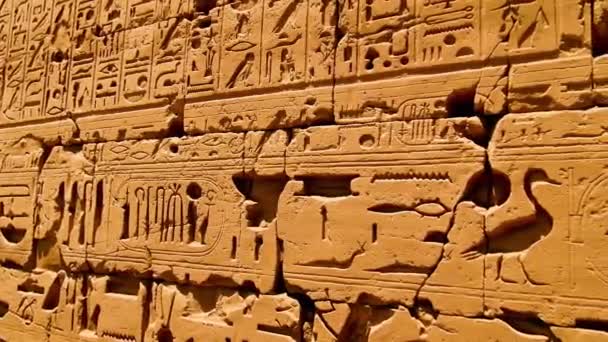 埃及卢克索卡尔纳克神殿内的各种象形文字 标志和符号 — 图库视频影像