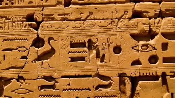 埃及卢克索卡尔纳克神殿内的各种象形文字 标志和符号 — 图库视频影像