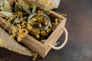 Yeşillikler arasında salatalık turşusuyla dolu bir kavanozla hayat.