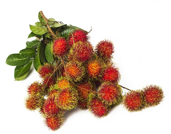Zuid-Amerikaanse exotische vruchten — Stockfoto