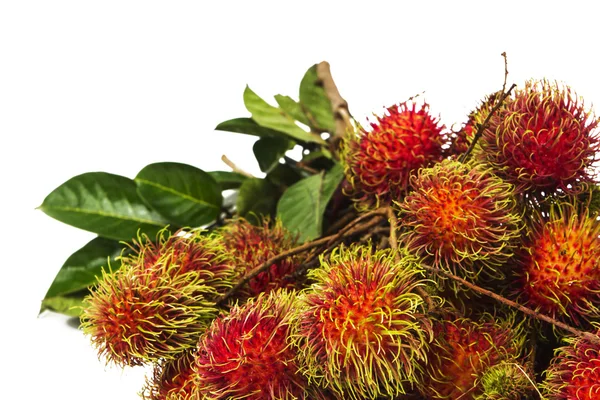 Frutos exóticos sul-americanos — Fotografia de Stock