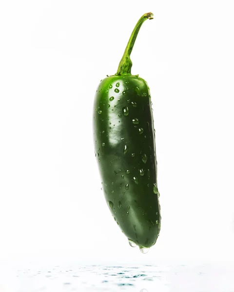 Peperoncino verde jalapeno — Foto Stock