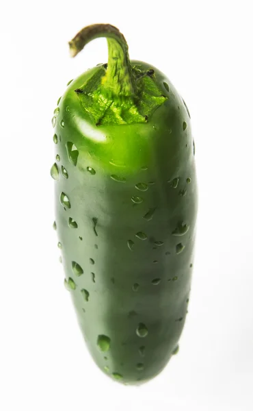 Green jalapeno hot pepper — Stock Photo, Image