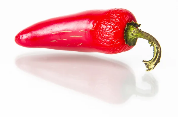 Peppe de malagueta quente vermelho — Fotografia de Stock