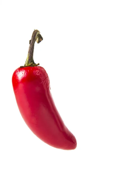 RED hot chilli peppe — Stock Photo, Image