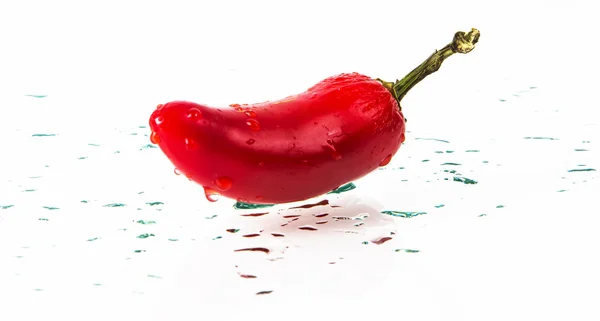 Peppe de malagueta quente vermelho — Fotografia de Stock