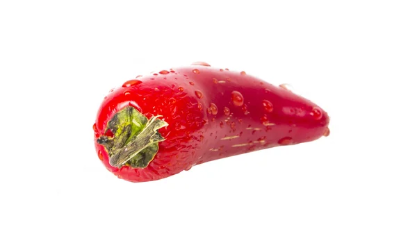 RED hot chilli peppe — Stock Photo, Image