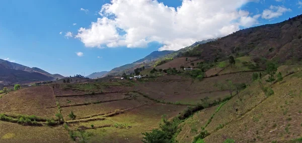 Aérea de camino de grava, campos quemados y verdes — Foto de Stock