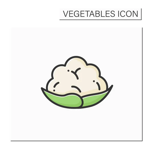 Karfiol színe ikon — Stock Vector